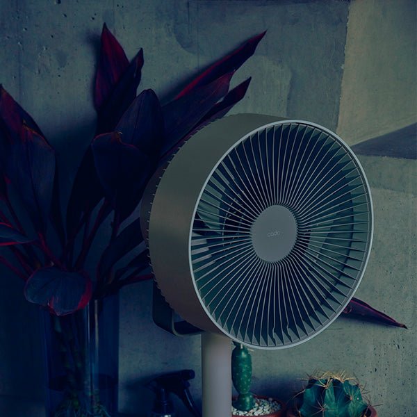 STREAM 1800F – cado